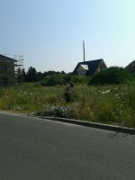 /album/monatsblick/a2013-07-23-jpg2/